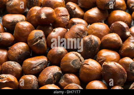 Sweet mature castagne arrosto frutta dal forno con dado lucido cappotti cotti e diviso dalla testa e cottura Foto Stock