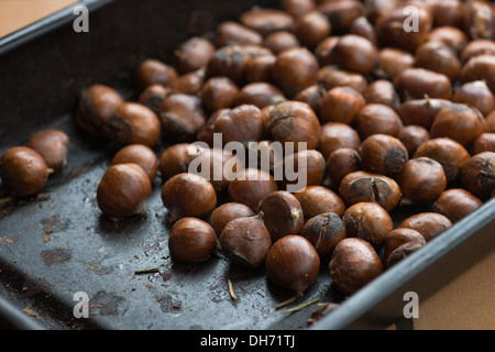 Sweet mature castagne arrosto frutta dal forno con dado lucido cappotti cotti e diviso dalla testa e cottura Foto Stock