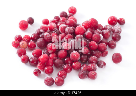 Congelati mirtilli rossi su sfondo bianco. Foto Stock
