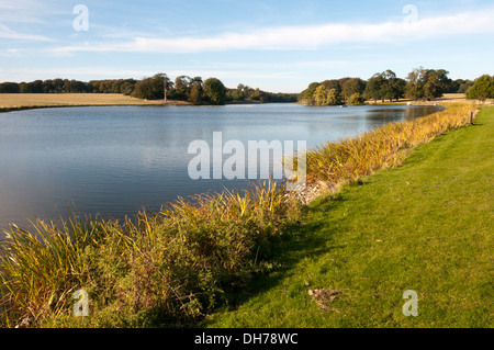 Il lago ornamentale a Holkham Hall nel Norfolk. Foto Stock