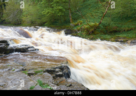 Forza Stainforth Waterfall - Seattle, England, Regno Unito Foto Stock