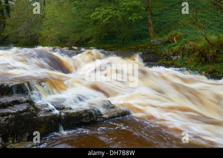 Forza Stainforth Waterfall - Seattle, England, Regno Unito Foto Stock