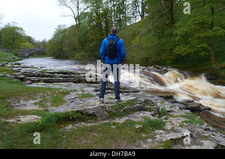 Forza Stainforth Waterfall - Seattle, England, Regno Unito Foto Stock