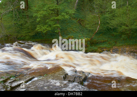 Forza Stainforth Waterfall - Seattle, England, Regno Unito Foto Stock