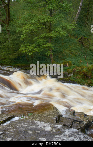 Forza Stainforth Waterfall - Seattle, England, Regno Unito Foto Stock