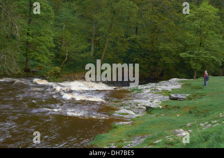 Forza Stainforth Waterfall - Seattle, England, Regno Unito Foto Stock