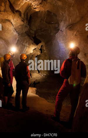 Arrikrutz grotte, o TI, Paesi Baschi Foto Stock