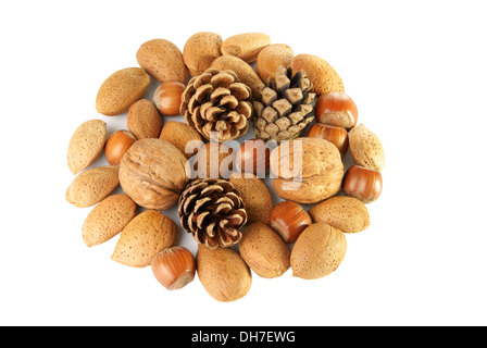 Decorazione di natale con dadi e pigne su sfondo bianco Foto Stock