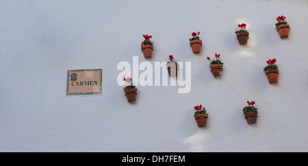 Muro Bianco con vasi da fiori e CYCLAMENS MARBELLA CITTÀ VECCHIA SPAGNA Foto Stock