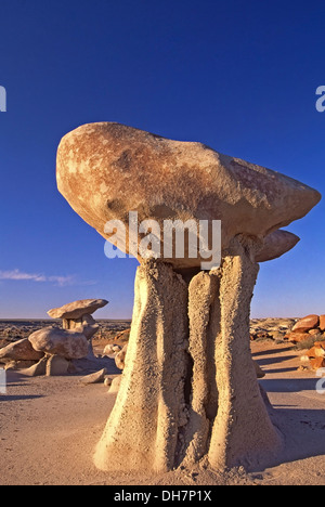 Roccia del fungo, Bisti De-Na-Zin Wilderness Area, vicino a Farmington, Nuovo Messico USA Foto Stock