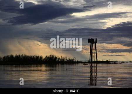 Lago Tonle Sap Cambogia. Albanese Prek massimo il santuario degli uccelli Foto Stock