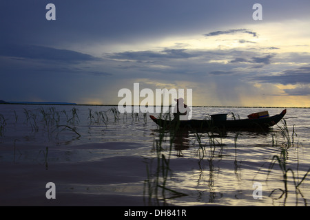 Lago Tonle Sap Cambogia. Albanese Prek massimo il santuario degli uccelli Foto Stock