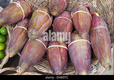 Fiori di banana per la vendita su un mercato, Siem Reap, Siem Reap, Siem Reap Provincia, Cambogia Foto Stock
