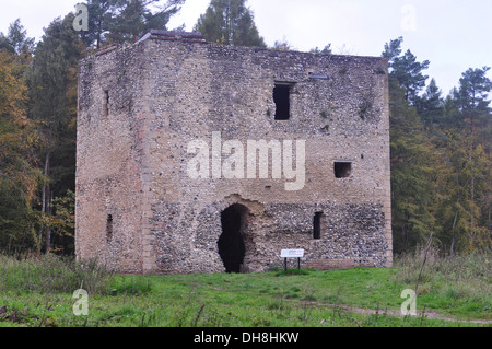 Thetford Warren Lodge, Thetford, Norfolk Foto Stock