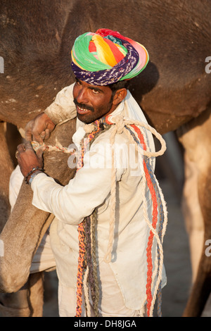 Camel herder con cammelli verso il Pushkar Camel Fair Foto Stock