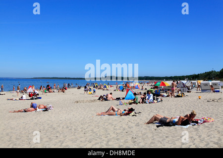 Boltenhagen Beach, Mar Baltico, Meclemburgo-Pomerania, Germania Foto Stock