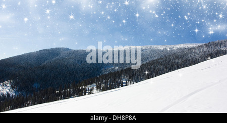 Inverno alberi nelle montagne coperte di neve fresca Foto Stock