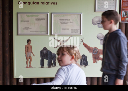 Istruzione e grafici interpretativi; oggetto primati. Durrell Wildlife Conservation Trust, Jersey, Isole del Canale, UK. Foto Stock