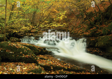 La Birks di Aberfeldy e il Moness masterizzare in autunno, Aberfeldy, Perthshire Foto Stock