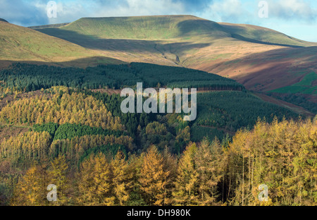 Parco Nazionale di Brecon Beacons in Autunno colori Galles Foto Stock