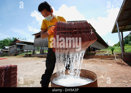 Gli agricoltori di Bago durante un focolaio di influenza aviaria o H5N1, la pulizia e la disinfezione delle attrezzature; Yangon, Birmania Foto Stock