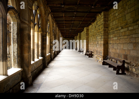 La Cattedrale di Durham in Inghilterra, Regno Unito Foto Stock