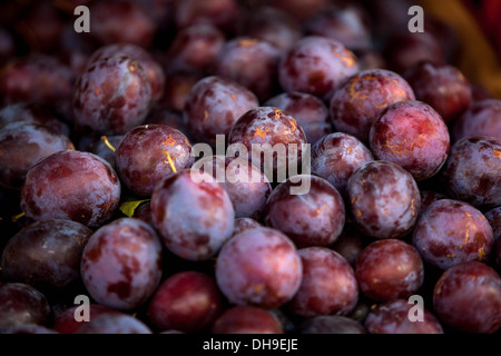 Vendita di frutti di prugne Praga Repubblica Ceca, Europa Foto Stock