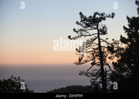 Vista dell'oceano da est Ridgecrest Boulevard, Monte Tamalpais State Park, Marin County, California, Stati Uniti, Nord Am Foto Stock