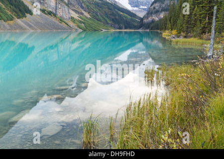 Montagne e Ghiacciai si riflette nell'idilliaco azzurre acque di origine glaciale ed erboso con la riva del Lago Louise, Alberta, Canada Foto Stock