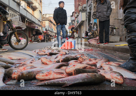 Il pesce per la vendita in Cina a Shanghai Foto Stock