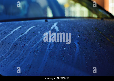 La mattina presto gocce di rugiada formata e strisciate su off il cofano di un automobile Foto Stock