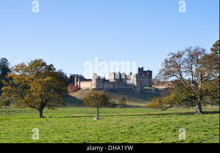Alnwick Castle, Northumberland, England, Regno Unito Foto Stock