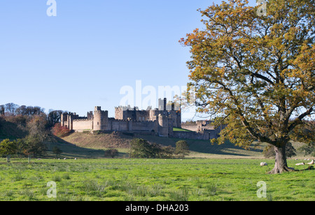 Alnwick Castle, Northumberland, England, Regno Unito Foto Stock