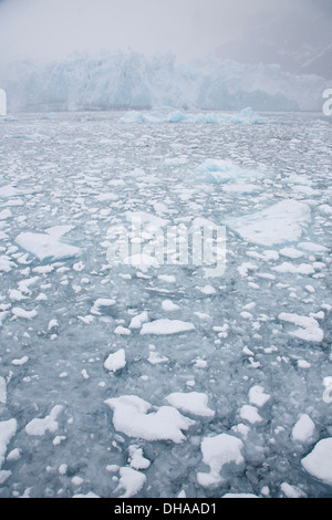 La neve e il Ghiacciaio di sorpresa, Harriman Fjord, Prince William Sound, Chugach National Forest, Alaska. Foto Stock