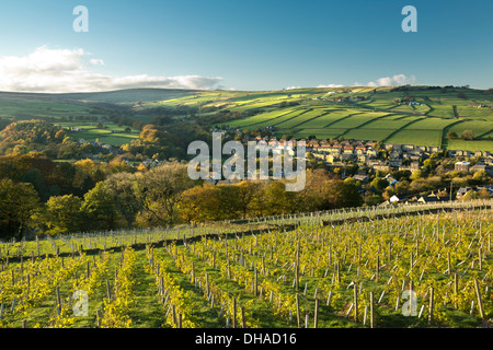 Holmfirth vigneto nella Holme Valley nel West Yorkshire. Foto Stock