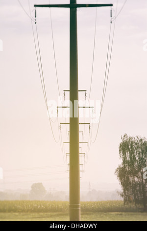 Un montante di overhead di mattina nebbia fotografata immagine verticale decorata in colori smorzati Foto Stock