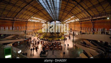 Atocha la stazione di Madrid, Spagna Foto Stock