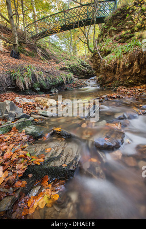 Cascate del Tarnash Dunnyduff nella foresta a Keith in Moray, Scozia Foto Stock