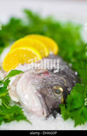 Spigola su sale di mare con prezzemolo e limone Foto Stock