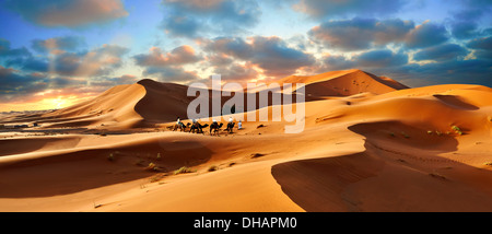 Giri in cammello sul Sahara dune di sabbia di Erg Chebbi al tramonto, Marocco, Africa Foto Stock