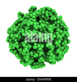 Tetracloruro di carbonio (CCl4, anidride tet) molecole, sfera liquido modello. Utilizzato in estintori e per lavaggio a secco. Foto Stock