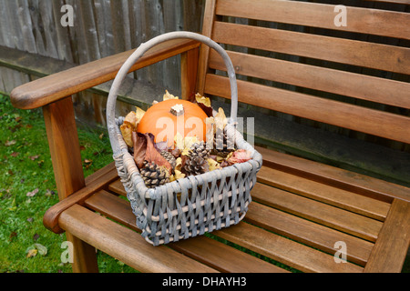 Cesto di zucca, foglie e pigne raccolte nel periodo autunnale su una panchina da giardino Foto Stock