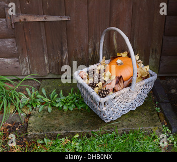 Cestello con autunnale di zucca matura, foglie secche e coni fir su un rustico in pietra porta Foto Stock