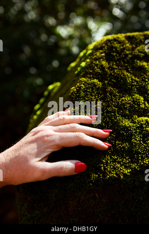 Una signora di chiudere a mano con red dito unghie su una roccia di muschio Foto Stock