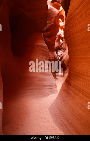 Slot canyon noto come Canyon segreto sulla terra Navajo, Pagina, Arizona. Foto Stock