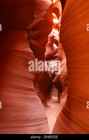 Slot canyon noto come Canyon segreto sulla terra Navajo, Pagina, Arizona. Foto Stock