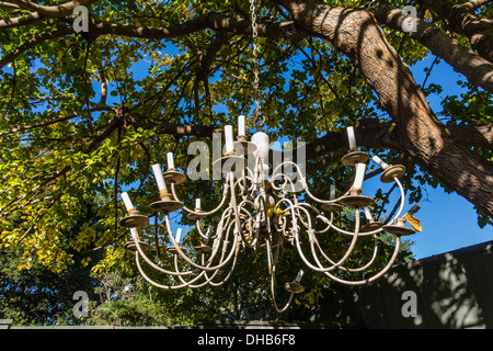 Un lampadario pende da una catena a un albero in Ojai, California. Foto Stock