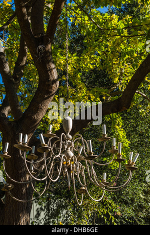 Un lampadario pende da una catena a un albero in Ojai, California. Foto Stock