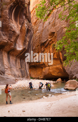 Gli escursionisti in si restringe sul fiume vergine, Parco Nazionale Zion, Utah. Foto Stock