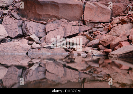 Piscina smeraldo Trail, Parco Nazionale Zion, Utah. Foto Stock